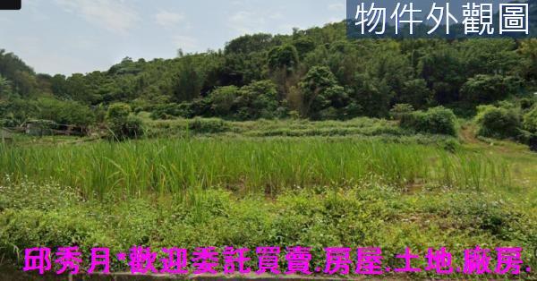 新北三芝農地-1