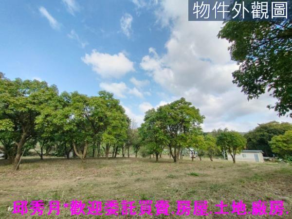 新北三芝農地-9