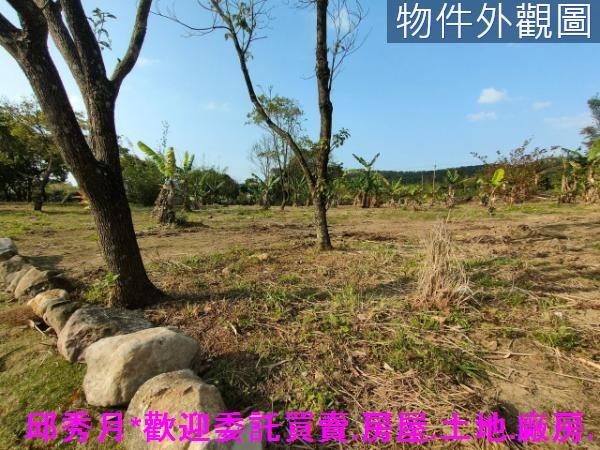 新北三芝農地-4