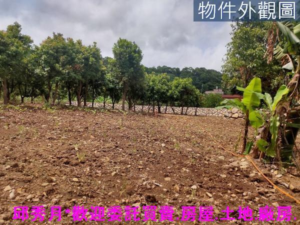 新北三芝農地-7