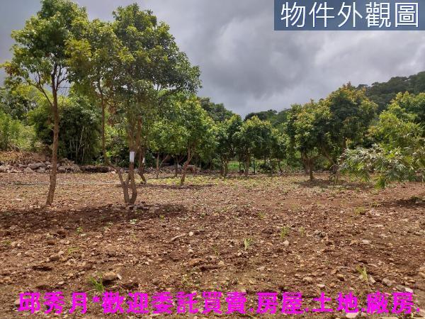 新北三芝農地-8