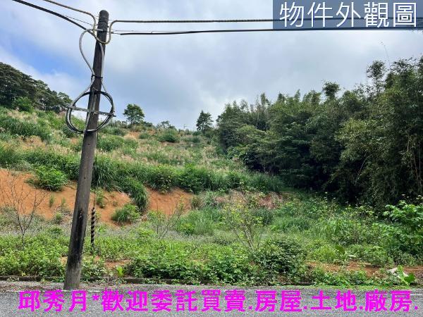 三芝農地-2