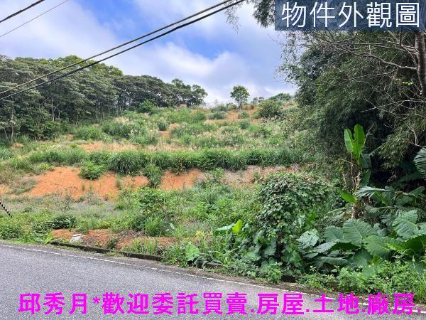 三芝農地-4