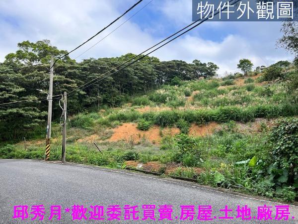 三芝農地-6