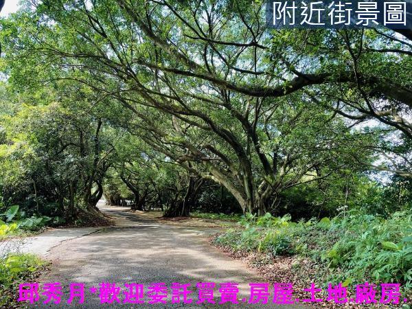 三芝農地-9