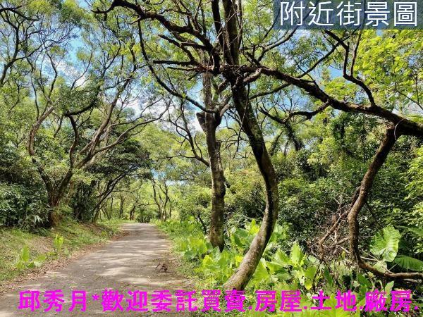 三芝農地-10