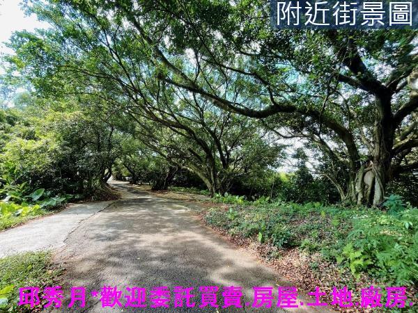 三芝農地-11