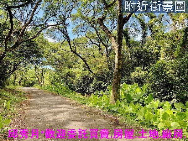 三芝農地-12