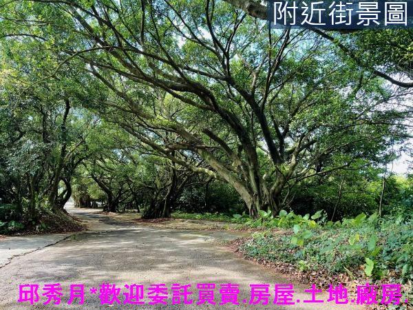 三芝農地-13