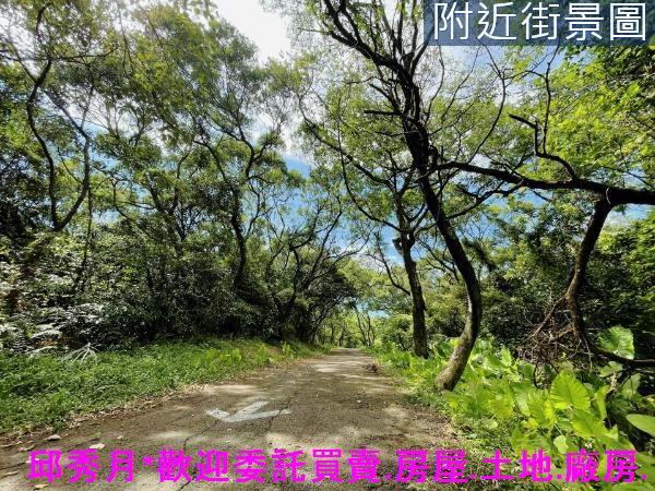 三芝農地-2