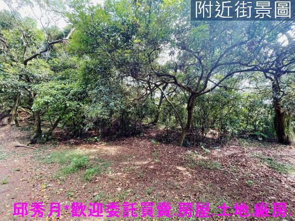 三芝農地-5