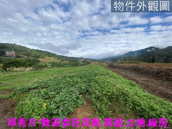 淡水農地-1
