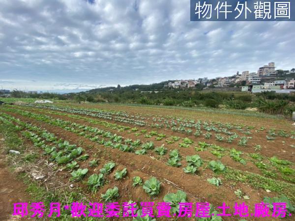 淡水農地-3