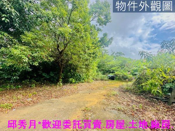 新北農地-0