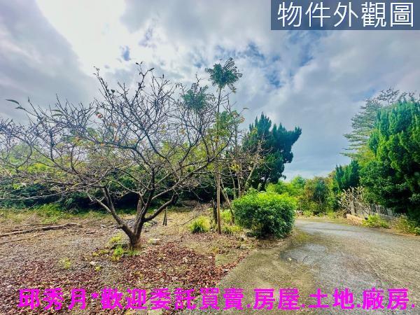 新北農地-1