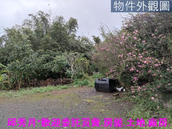 新北淡水農地-1