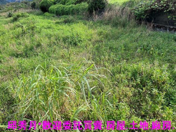 新北石門都市計畫內-3