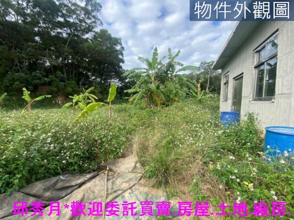 新北淡水農地-2