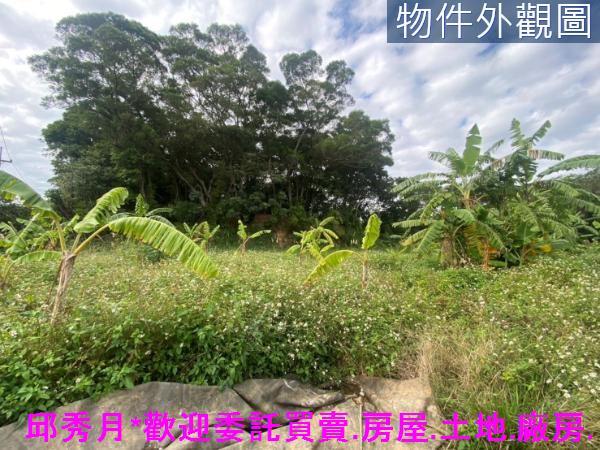 新北淡水農地-4