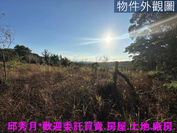 三芝農地-6