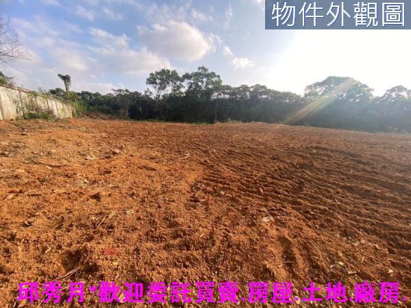 新北農地-3