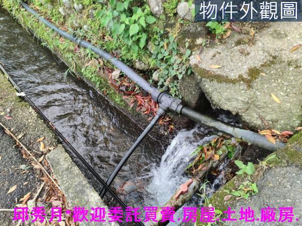 新北農地-1