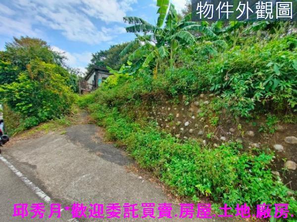 新北農地-3