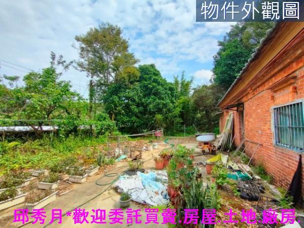 新北農地-4