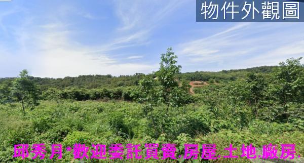 淡水農地-6