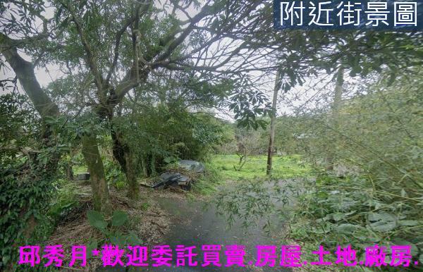 新北三芝農地-3