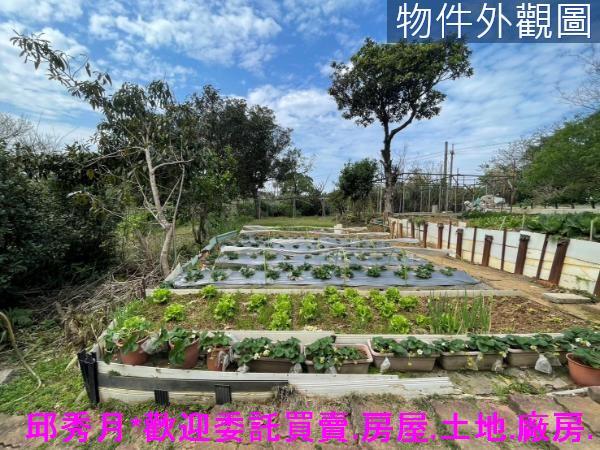 新北三芝農地-0