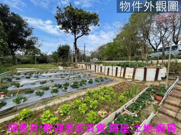 新北三芝農地-2
