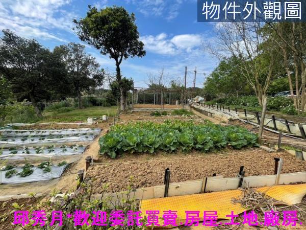 新北三芝農地-3