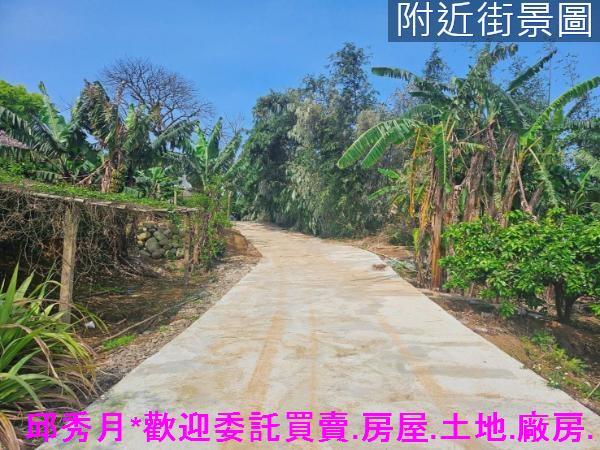 新北農地-0