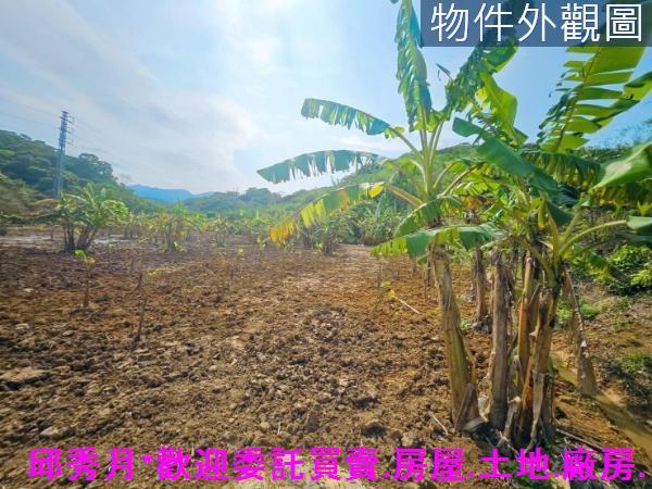 新北農地-1