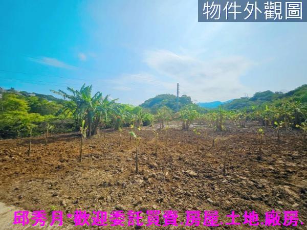 新北農地-3