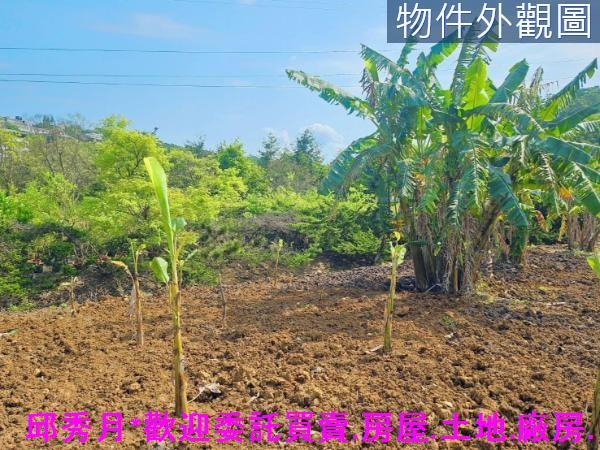 新北農地-4