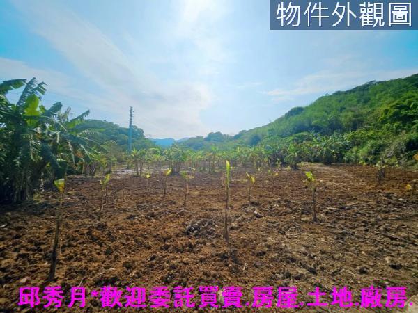 新北農地-5