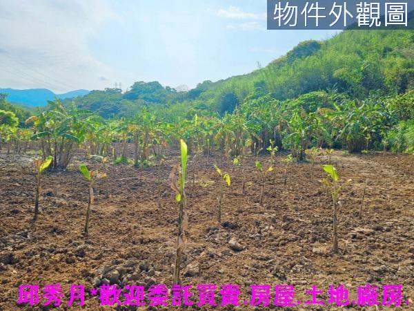 新北農地-6