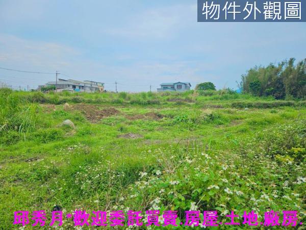 新北農地-2