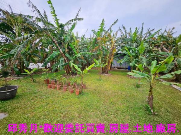 新北三芝農地-2