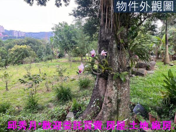 新北淡水農地-9