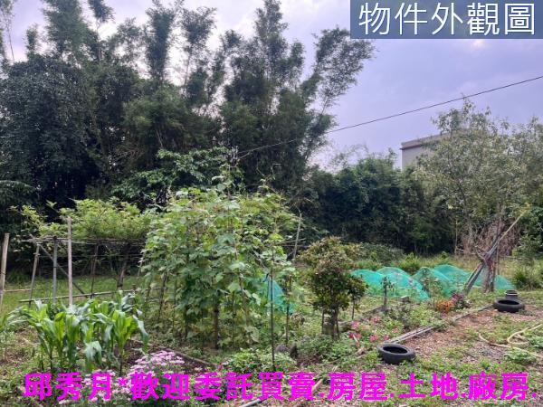 新北淡水農地-4