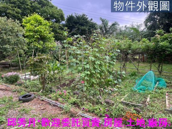 新北淡水農地-5