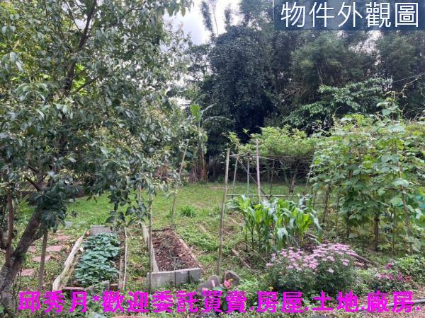 新北淡水農地-6