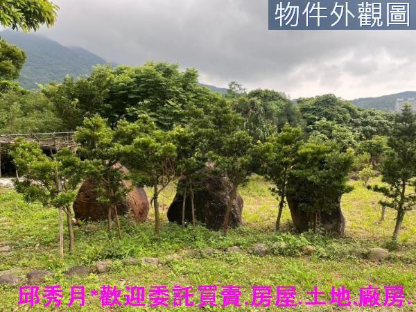 新北淡水農地-7