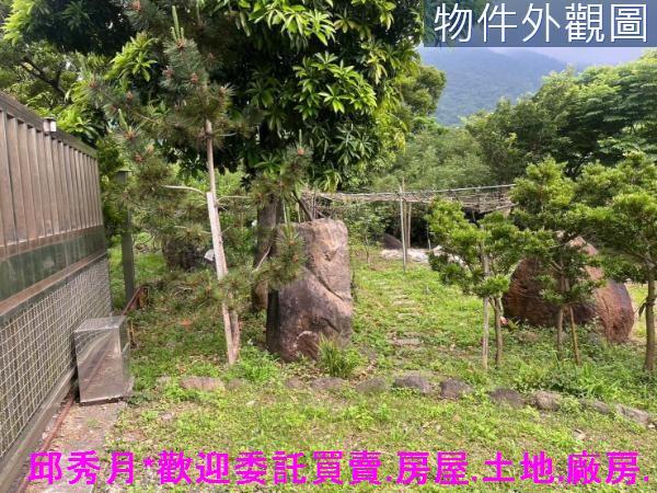 新北淡水農地-8