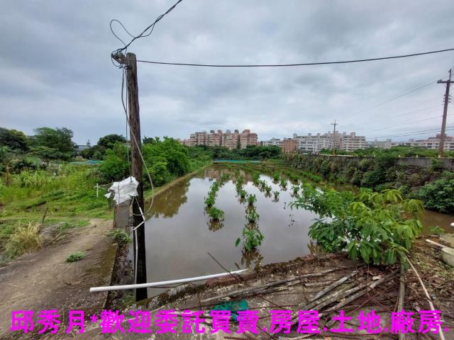 三芝農地-1