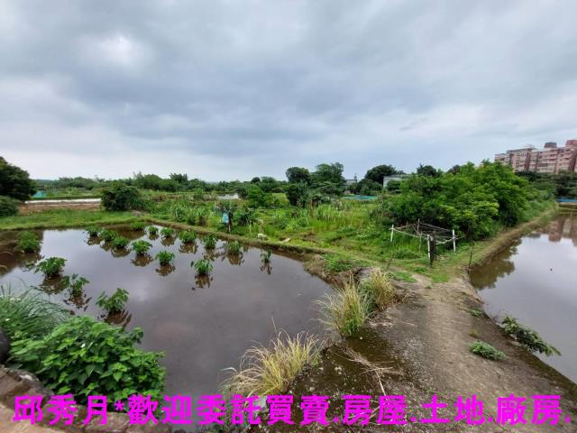 三芝農地-3
