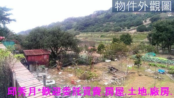 三芝農地-10